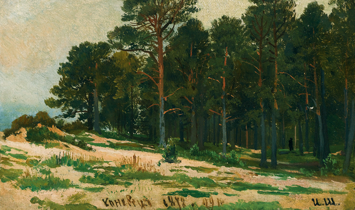  伊凡·伊凡诺维奇·希施金 Ivan I. Shishkin —— Ivan Shishkin-040